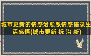 城市更新的情感治愈系情感语录生活感悟(城市更新 拆 治 新)